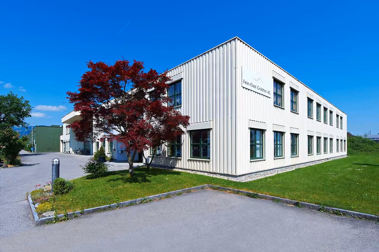Werksgebäude der Fein-Elast Grabher AG in Diepoldsau